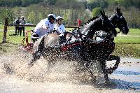 Photo n 39076&#10;Evreux 2017. Photo Chevalandrieu&#10;Vincent SERAZIN&#10;Affiche 28 fois&#10;Ajoute le 15/04/2017 15:26:00 par Nadinetoudic&#10;&#10;--> Cliquer pour agrandir <--