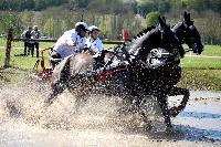 Photo n° 39076
Evreux 2017. Photo Chevalandrieu
Vincent SERAZIN
Affichée 25 fois
Ajoutée le 15/04/2017 15:26:00 par Nadinetoudic

--> Cliquer pour agrandir <--