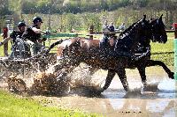 Photo n 39077&#10;Evreux 2017. Photo Chevalandrieu&#10;Franck EVRARD BRUNEEL&#10;Affiche 24 fois&#10;Ajoute le 15/04/2017 15:26:00 par Nadinetoudic&#10;&#10;--> Cliquer pour agrandir <--