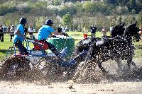 Photo n° 39080
Evreux 2017. Photo Chevalandrieu
Eve CADI VERNA
Affichée 17 fois
Ajoutée le 15/04/2017 15:26:00 par Nadinetoudic

--> Cliquer pour agrandir <--