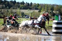 Photo n° 39081
Evreux 2017. Photo Chevalandrieu
Jean GUERRA
Affichée 20 fois
Ajoutée le 15/04/2017 15:26:00 par Nadinetoudic

--> Cliquer pour agrandir <--