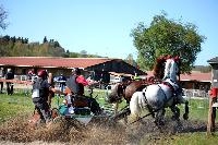Photo n 39082&#10;Evreux 2017. Photo Chevalandrieu&#10;Jean GUERRA&#10;Affiche 15 fois&#10;Ajoute le 15/04/2017 15:26:00 par Nadinetoudic&#10;&#10;--> Cliquer pour agrandir <--
