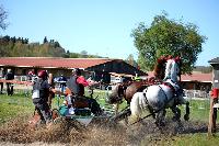 Photo n° 39082
Evreux 2017. Photo Chevalandrieu
Jean GUERRA
Affichée 13 fois
Ajoutée le 15/04/2017 15:26:00 par Nadinetoudic

--> Cliquer pour agrandir <--