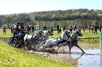 Photo n° 39083
Evreux 2017. Photo Chevalandrieu
Jean-Charles DAVOUST
Affichée 10 fois
Ajoutée le 15/04/2017 15:26:00 par Nadinetoudic

--> Cliquer pour agrandir <--