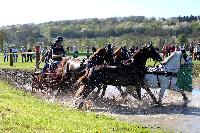 Photo n° 39085
Evreux 2017. Photo Chevalandrieu
Gilles ARRIAT
Affichée 18 fois
Ajoutée le 15/04/2017 15:26:01 par Nadinetoudic

--> Cliquer pour agrandir <--