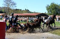 Photo n° 39086
Evreux 2017. Photo Chevalandrieu
Gilles ARRIAT
Affichée 12 fois
Ajoutée le 15/04/2017 15:26:01 par Nadinetoudic

--> Cliquer pour agrandir <--