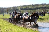 Photo n 39087&#10;Evreux 2017. Photo Chevalandrieu&#10;Mlanie BAILLIACHE&#10;Affiche 13 fois&#10;Ajoute le 15/04/2017 15:26:01 par Nadinetoudic&#10;&#10;--> Cliquer pour agrandir <--
