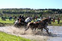 Photo n 39088&#10;Evreux 2017. Photo Chevalandrieu&#10;Mlanie BAILLIACHE&#10;Affiche 11 fois&#10;Ajoute le 15/04/2017 15:26:01 par Nadinetoudic&#10;&#10;--> Cliquer pour agrandir <--