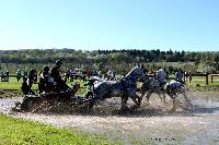 Photo n° 39089
Evreux 2017. Photo Chevalandrieu
Sébastien MOURIER
Affichée 16 fois
Ajoutée le 15/04/2017 15:26:01 par Nadinetoudic

--> Cliquer pour agrandir <--