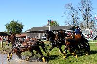 Photo n 39092&#10;Evreux 2017. Photo Chevalandrieu&#10;Fabrice MARTIN&#10;Affiche 24 fois&#10;Ajoute le 15/04/2017 15:26:01 par Nadinetoudic&#10;&#10;--> Cliquer pour agrandir <--