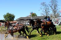 Photo n° 39092
Evreux 2017. Photo Chevalandrieu
Fabrice MARTIN
Affichée 24 fois
Ajoutée le 15/04/2017 15:26:01 par Nadinetoudic

--> Cliquer pour agrandir <--