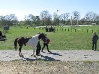 Photo n° 39224
Fontenay le Comte - photo Jocelyne Ménoret

Affichée 7 fois
Ajoutée le 20/04/2017 08:11:12 par JeanClaudeGrognet

--> Cliquer pour agrandir <--