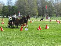 Photo n 39225&#10;Fontenay le Comte - photo Jocelyne Mnoret&#10;&#10;Affiche 10 fois&#10;Ajoute le 20/04/2017 08:11:12 par JeanClaudeGrognet&#10;&#10;--> Cliquer pour agrandir <--