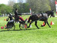 Photo n 39227&#10;Fontenay le Comte - photo Jocelyne Mnoret&#10;&#10;Affiche 13 fois&#10;Ajoute le 20/04/2017 08:11:12 par JeanClaudeGrognet&#10;&#10;--> Cliquer pour agrandir <--