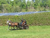 Photo n 39229&#10;Fontenay le Comte - photo Jocelyne Mnoret&#10;&#10;Affiche 8 fois&#10;Ajoute le 20/04/2017 08:11:12 par JeanClaudeGrognet&#10;&#10;--> Cliquer pour agrandir <--