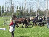 Photo n 39230&#10;Fontenay le Comte - photo Jocelyne Mnoret&#10;&#10;Affiche 12 fois&#10;Ajoute le 20/04/2017 08:11:13 par JeanClaudeGrognet&#10;&#10;--> Cliquer pour agrandir <--