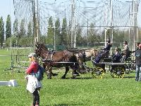 Photo n° 39230
Fontenay le Comte - photo Jocelyne Ménoret

Affichée 9 fois
Ajoutée le 20/04/2017 08:11:13 par JeanClaudeGrognet

--> Cliquer pour agrandir <--