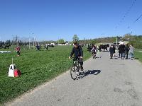 Photo n 39232&#10;Fontenay le Comte - photo Jocelyne Mnoret&#10;&#10;Affiche 12 fois&#10;Ajoute le 20/04/2017 08:11:13 par JeanClaudeGrognet&#10;&#10;--> Cliquer pour agrandir <--