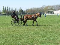 Photo n 39236&#10;Fontenay le Comte - photo Jocelyne Mnoret&#10;&#10;Affiche 15 fois&#10;Ajoute le 20/04/2017 08:11:13 par JeanClaudeGrognet&#10;&#10;--> Cliquer pour agrandir <--