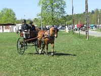 Photo n 39237&#10;Fontenay le Comte - photo Jocelyne Mnoret&#10;&#10;Affiche 14 fois&#10;Ajoute le 20/04/2017 08:11:13 par JeanClaudeGrognet&#10;&#10;--> Cliquer pour agrandir <--