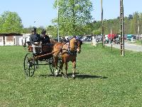 Photo n° 39237
Fontenay le Comte - photo Jocelyne Ménoret

Affichée 12 fois
Ajoutée le 20/04/2017 08:11:13 par JeanClaudeGrognet

--> Cliquer pour agrandir <--