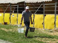 Photo n 39240&#10;Fontenay le Comte - photo Jocelyne Mnoret&#10;&#10;Affiche 19 fois&#10;Ajoute le 20/04/2017 08:11:13 par JeanClaudeGrognet&#10;&#10;--> Cliquer pour agrandir <--