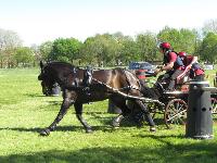 Photo n° 39247
Fontenay le Comte - photo Jocelyne Ménoret

Affichée 20 fois
Ajoutée le 20/04/2017 08:11:13 par JeanClaudeGrognet

--> Cliquer pour agrandir <--