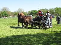 Photo n 39249&#10;Fontenay le Comte - photo Jocelyne Mnoret&#10;&#10;Affiche 13 fois&#10;Ajoute le 20/04/2017 08:11:13 par JeanClaudeGrognet&#10;&#10;--> Cliquer pour agrandir <--