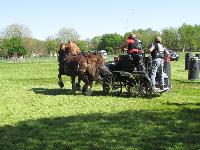 Photo n° 39249
Fontenay le Comte - photo Jocelyne Ménoret

Affichée 11 fois
Ajoutée le 20/04/2017 08:11:13 par JeanClaudeGrognet

--> Cliquer pour agrandir <--