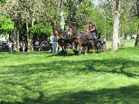 Photo n 39250&#10;Fontenay le Comte - photo Jocelyne Mnoret&#10;&#10;Affiche 11 fois&#10;Ajoute le 20/04/2017 08:11:13 par JeanClaudeGrognet&#10;&#10;--> Cliquer pour agrandir <--