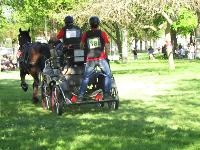Photo n 39251&#10;Fontenay le Comte - photo Jocelyne Mnoret&#10;&#10;Affiche 18 fois&#10;Ajoute le 20/04/2017 08:11:13 par JeanClaudeGrognet&#10;&#10;--> Cliquer pour agrandir <--