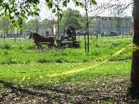 Photo n 39252&#10;Fontenay le Comte - photo Jocelyne Mnoret&#10;&#10;Affiche 12 fois&#10;Ajoute le 20/04/2017 08:11:13 par JeanClaudeGrognet&#10;&#10;--> Cliquer pour agrandir <--