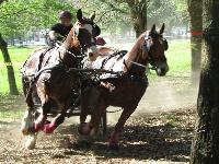 Photo n° 39253
Fontenay le Comte - photo Jocelyne Ménoret

Affichée 32 fois
Ajoutée le 20/04/2017 08:11:13 par JeanClaudeGrognet

--> Cliquer pour agrandir <--