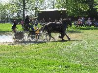 Photo n 39255&#10;Fontenay le Comte - photo Jocelyne Mnoret&#10;&#10;Affiche 16 fois&#10;Ajoute le 20/04/2017 08:11:13 par JeanClaudeGrognet&#10;&#10;--> Cliquer pour agrandir <--