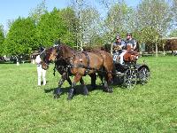 Photo n 39258&#10;Fontenay le Comte - photo Jocelyne Mnoret&#10;&#10;Affiche 38 fois&#10;Ajoute le 20/04/2017 08:11:14 par JeanClaudeGrognet&#10;&#10;--> Cliquer pour agrandir <--