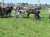 Photo n° 39265
Fontenay le Comte - photo Jocelyne Ménoret

Affichée 25 fois
Ajoutée le 20/04/2017 08:11:14 par JeanClaudeGrognet

--> Cliquer pour agrandir <--