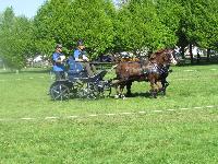Photo n 39267&#10;Fontenay le Comte - photo Jocelyne Mnoret&#10;&#10;Affiche 20 fois&#10;Ajoute le 20/04/2017 08:11:14 par JeanClaudeGrognet&#10;&#10;--> Cliquer pour agrandir <--