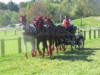 Photo n 39268&#10;Fontenay le Comte - photo Jocelyne Mnoret&#10;&#10;Affiche 31 fois&#10;Ajoute le 20/04/2017 08:11:14 par JeanClaudeGrognet&#10;&#10;--> Cliquer pour agrandir <--