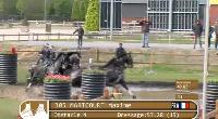 Photo n 39381&#10;HORST copie d'cran&#10;&#10;Affiche 8 fois&#10;Ajoute le 22/04/2017 17:00:22 par JeanClaudeGrognet&#10;&#10;--> Cliquer pour agrandir <--
