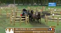 Photo n 39412&#10;HORST copie d'cran&#10;&#10;Affiche 14 fois&#10;Ajoute le 22/04/2017 17:00:23 par JeanClaudeGrognet&#10;&#10;--> Cliquer pour agrandir <--