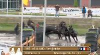 Photo n 39421&#10;HORST copie d'cran&#10;&#10;Affiche 11 fois&#10;Ajoute le 22/04/2017 17:00:23 par JeanClaudeGrognet&#10;&#10;--> Cliquer pour agrandir <--