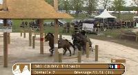 Photo n 39424&#10;HORST copie d'cran&#10;&#10;Affiche 9 fois&#10;Ajoute le 22/04/2017 17:00:23 par JeanClaudeGrognet&#10;&#10;--> Cliquer pour agrandir <--