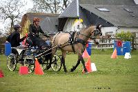 Photo n 39429&#10;St ANTOINE LA FORET 2017. Photo Chevalandrieu&#10;Margot LUREAU&#10;Affiche 15 fois&#10;Ajoute le 25/04/2017 11:38:19 par Nadinetoudic&#10;&#10;--> Cliquer pour agrandir <--