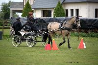 Photo n 39430&#10;St ANTOINE LA FORET 2017. Photo Chevalandrieu&#10;Margot LUREAU&#10;Affiche 13 fois&#10;Ajoute le 25/04/2017 11:38:19 par Nadinetoudic&#10;&#10;--> Cliquer pour agrandir <--