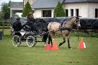 Photo n° 39430
St ANTOINE LA FORET 2017. Photo Chevalandrieu
Margot LUREAU
Affichée 8 fois
Ajoutée le 25/04/2017 11:38:19 par Nadinetoudic

--> Cliquer pour agrandir <--