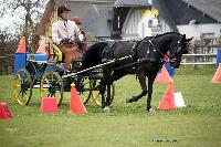 Photo n° 39431
St ANTOINE LA FORET 2017. Photo Chevalandrieu
Simon GEORGES
Affichée 13 fois
Ajoutée le 25/04/2017 11:38:19 par Nadinetoudic

--> Cliquer pour agrandir <--