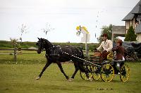 Photo n 39432&#10;St ANTOINE LA FORET 2017. Photo Chevalandrieu&#10;Simon GEORGES&#10;Affiche 14 fois&#10;Ajoute le 25/04/2017 11:38:19 par Nadinetoudic&#10;&#10;--> Cliquer pour agrandir <--