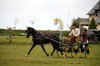 Photo n° 39432
St ANTOINE LA FORET 2017. Photo Chevalandrieu
Simon GEORGES
Affichée 11 fois
Ajoutée le 25/04/2017 11:38:19 par Nadinetoudic

--> Cliquer pour agrandir <--