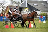 Photo n 39434&#10;St ANTOINE LA FORET 2017. Photo Chevalandrieu&#10;Sabine GUERIN&#10;Affiche 13 fois&#10;Ajoute le 25/04/2017 11:38:19 par Nadinetoudic&#10;&#10;--> Cliquer pour agrandir <--