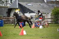 Photo n 39435&#10;St ANTOINE LA FORET 2017. Photo Chevalandrieu&#10;Christophe DUCLOS&#10;Affiche 12 fois&#10;Ajoute le 25/04/2017 11:38:19 par Nadinetoudic&#10;&#10;--> Cliquer pour agrandir <--